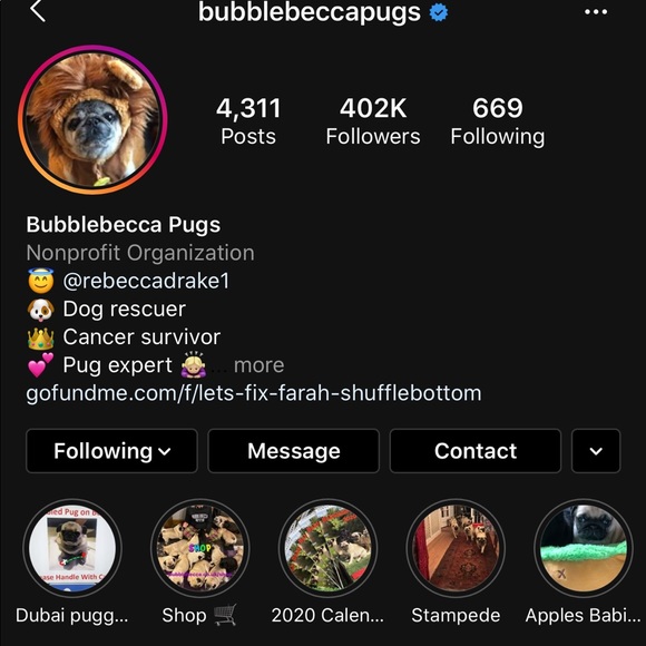 I’m donating portions of all my profits to animals - Picture 5 of 5